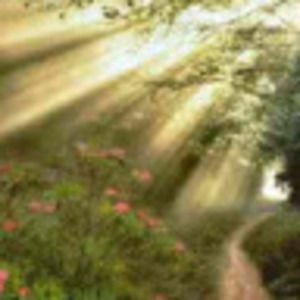 Meet your Posher, Joel